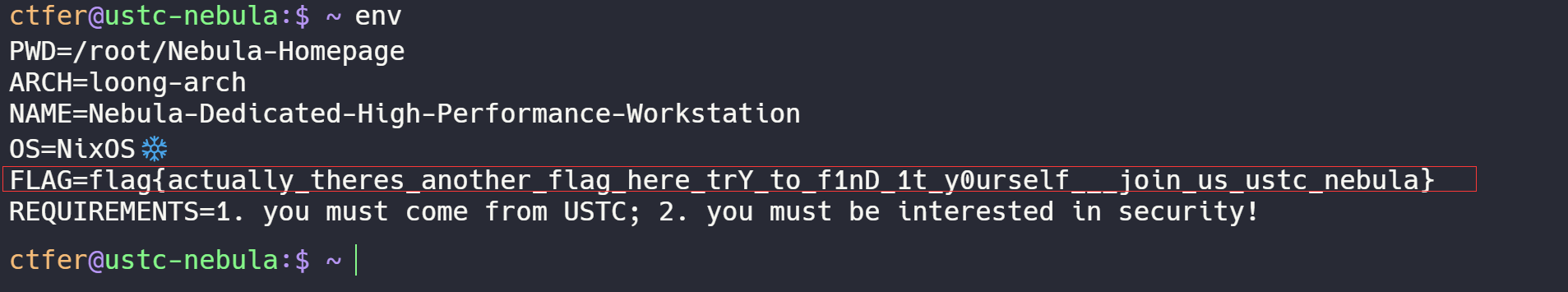 image-20241110161119964